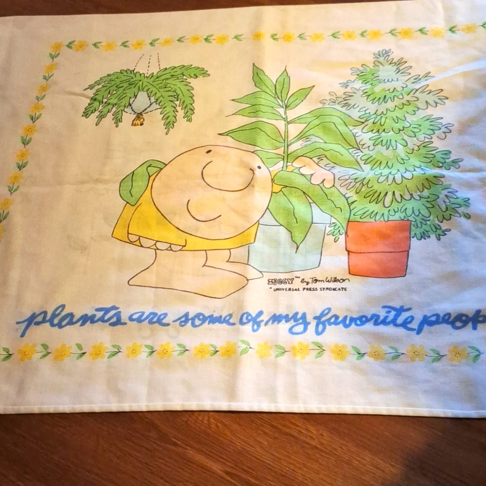 Vintage Pillow Cases